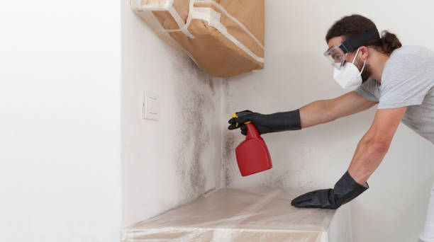 Professional Mold Removal technician working in West Babylon, NY